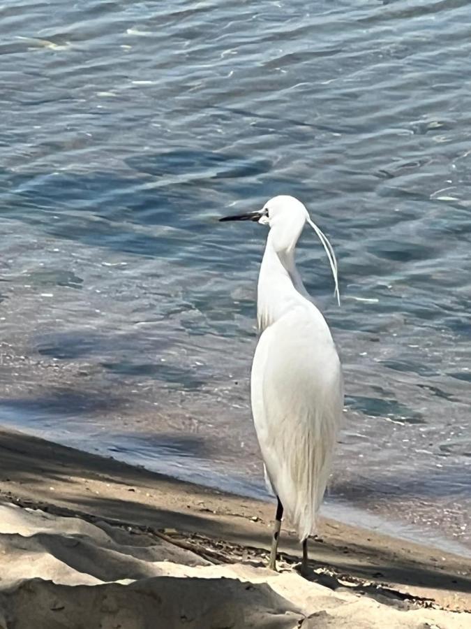 Kallithea Nea Iraklitsa Экстерьер фото
